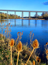 Image result for Wansbeck Gc