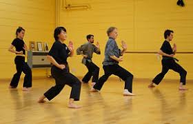 Image result for Shaolin Nam Pai Chuan Kung Fu - Manchester Martial Arts Centre