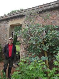 Image result for Taunton Deane