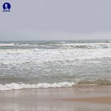 Image result for Erwadi