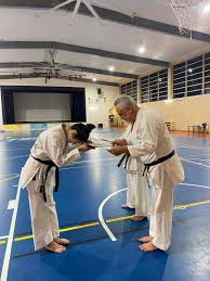 Image result for Ipswich Shotokan Karate Club