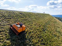 Image result for roboflail tehron