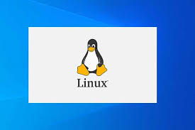 Image result for linux
