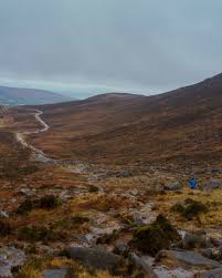 Image result for Thames Valley Silent Flyers