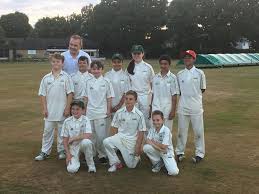 Image result for Three Bridges Cricket Club