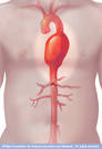 Mayo Clinic medical information and tools for healthy living