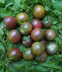 Afbeeldingsresultaat voor black cherry tomato