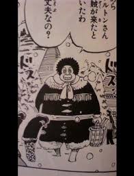 「ネギ熊まりあ ONE PIECE」の画像検索結果