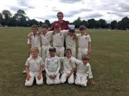 Image result for Ballinger Waggoners Cricket Club