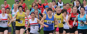 Image result for Liverpool Harriers Athletics Club