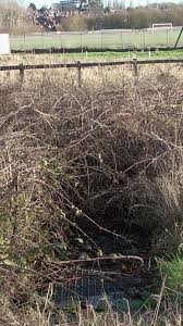 Image result for Millbrook Smbc