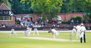 Image result for Chesterfield Cricket Club