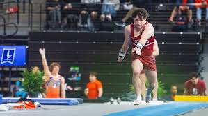 Image result for Arun Gymnastics Club