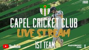 Image result for Capel Cricket Club