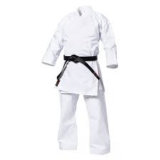 Image result for Sandokai Karate