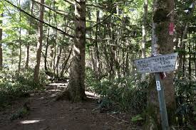 Attēlu rezultāti vaicājumam “Ena montana”