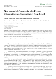 Attēlu rezultāti vaicājumam “Comatricha alta stalked”