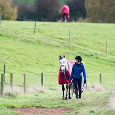Image result for British Horse Society