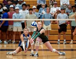 Image result for Reading Aces Volleyball Club