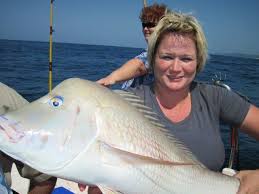 Image result for Polysteganus undulosus