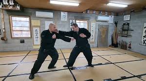 Image result for Bujinkan Ninpo Dojo