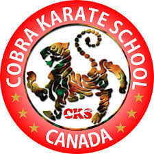 Image result for Cobra Karate Club