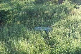 Image result for Calstock Smbc