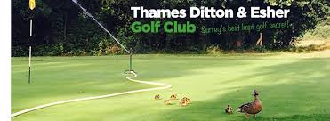 Image result for Thames Ditton & Esher Golf Club