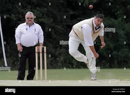 Image result for Hainault Bowling Club