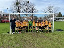 Image result for Ashtead Football Club