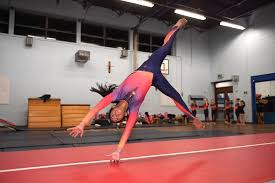 Image result for Horizon Team Gym Club