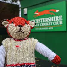 Image result for Stretton Cricket Club