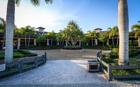 Image result for Ecurie Barnton