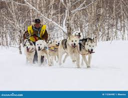 Image result for Team Ice Fire British Sled Dog Racing Team