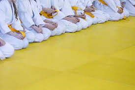 Image result for Wokingham Judo Club