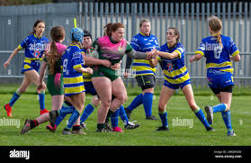 Image result for Halton Farnworth Hornets A R L F C