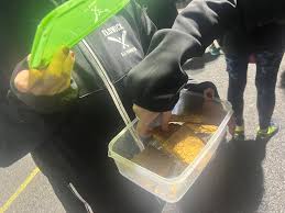 Image result for Elkesley All Rounders