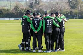 Image result for Swardeston Cricket Club