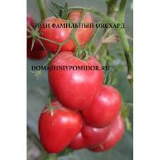 Afbeeldingsresultaat voor erdie family oxheart tomato