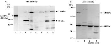 Image result for HTRPC