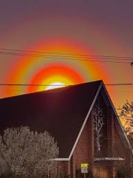 Attēlu rezultāti vaicājumam “pollen corona”