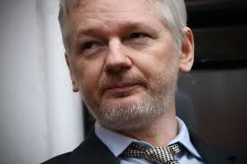 Image result for assange