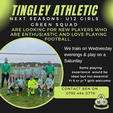 Image result for Tingley Athletic