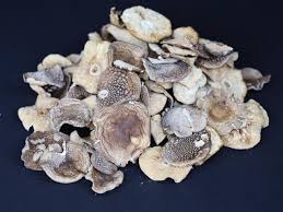 Attēlu rezultāti vaicājumam “Amanita pantherina”