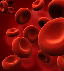 Image result for blood