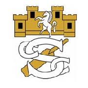 Image result for Addington Village Cricket Club