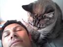 Hungry Fat Cat Wake Up Call.