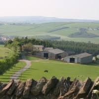 Image result for Deerness Valley Hpc Gymnastics Club