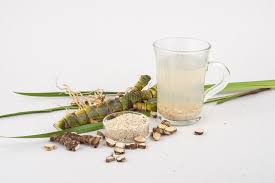 Attēlu rezultāti vaicājumam “Acorus calamus fruit”