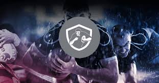 Image result for Mayfield Rugby League Football Club